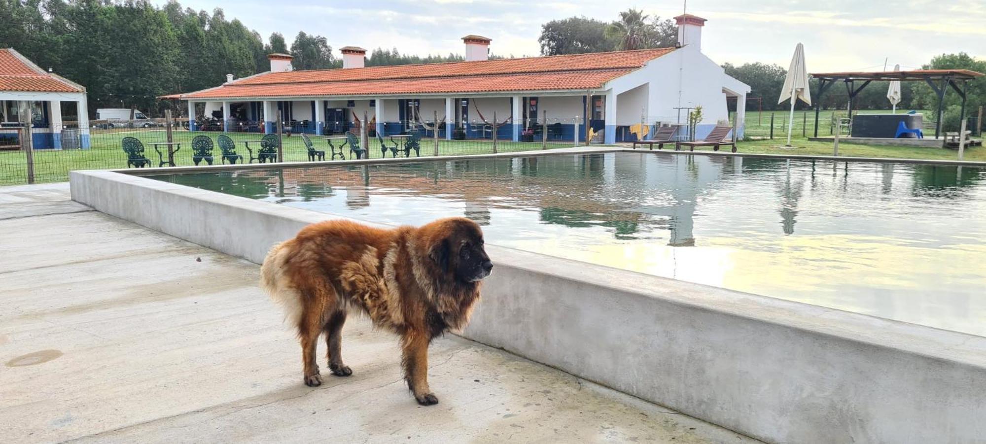 Monte Do Lago, Pegões Buitenkant foto