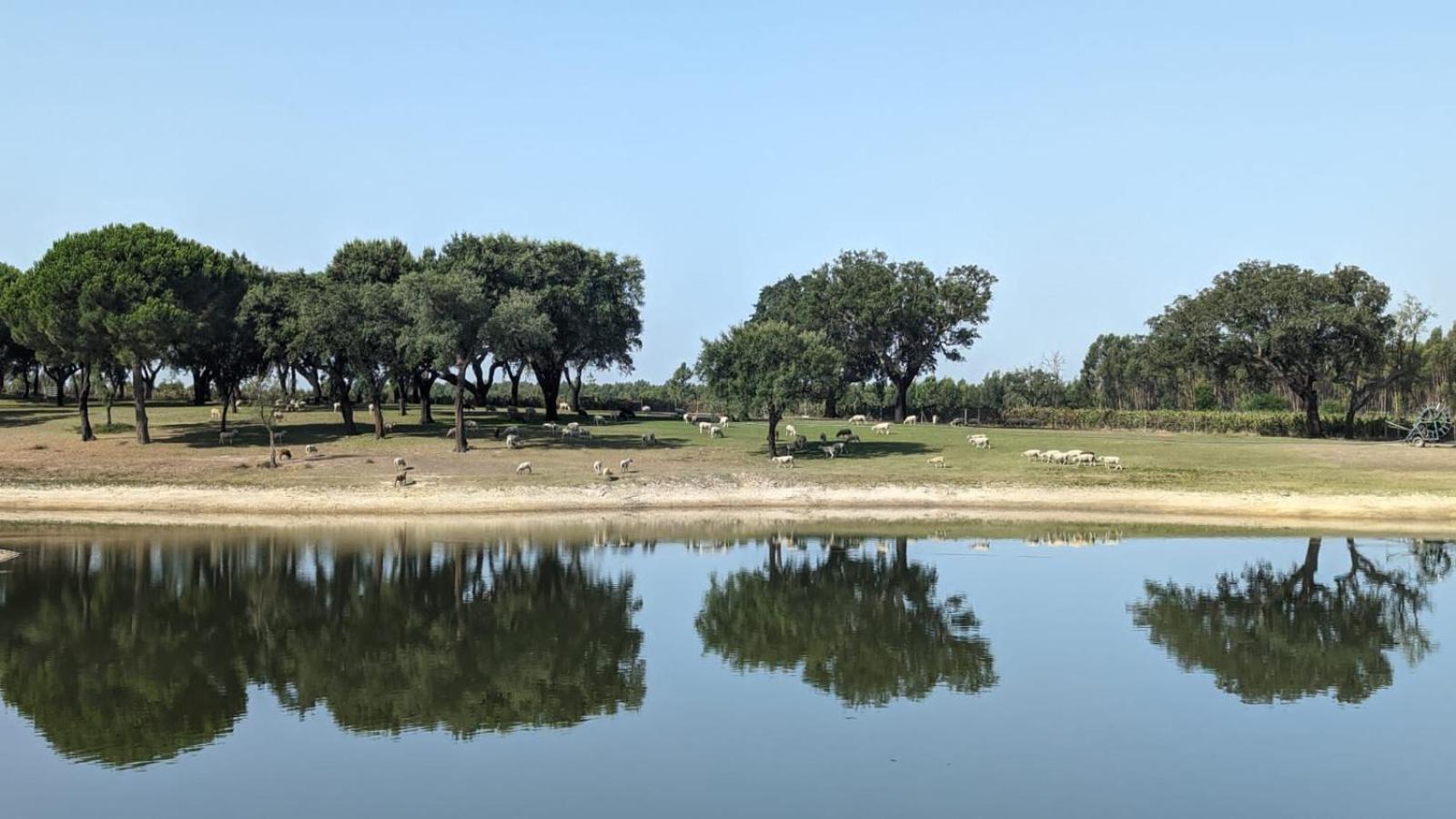 Monte Do Lago, Pegões Buitenkant foto